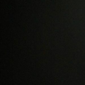 Meet your Posher, Shane